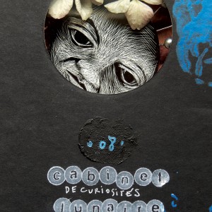 S É R I E “ C A B I N E T -D E C U R I O S I T É S- L U N A I R E ”. Série de 15 boîtes avec fenêtres en verre renfermant des lunes réalisées en carte à gratter. Dimensions des boîtes : L10,5 cm x H 27,5 cm x P 3,5 cm Boîte n° 08 – La lune se laisse bercer par la voix de Billie Holiday