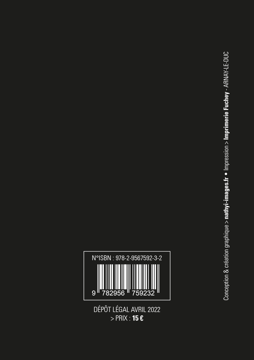 DIJON - Frise de ville. Guide : Fred Augelon - Dernière de couverture. Graphisme nathyi